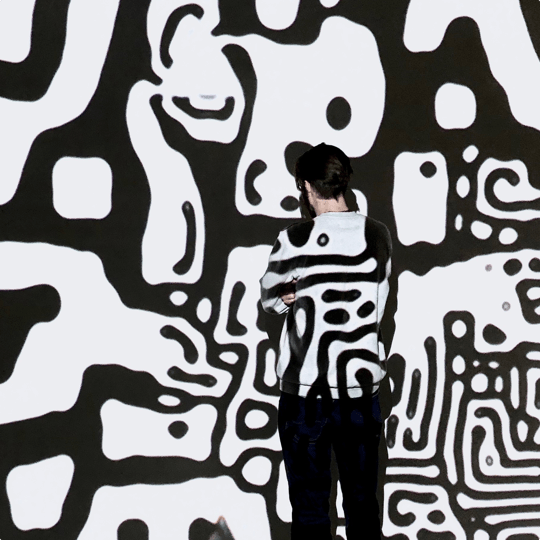 A visitor to the Museum of Digital Art is looking at a digital art installation that uses intelligent algorithms to create artistic patterns.