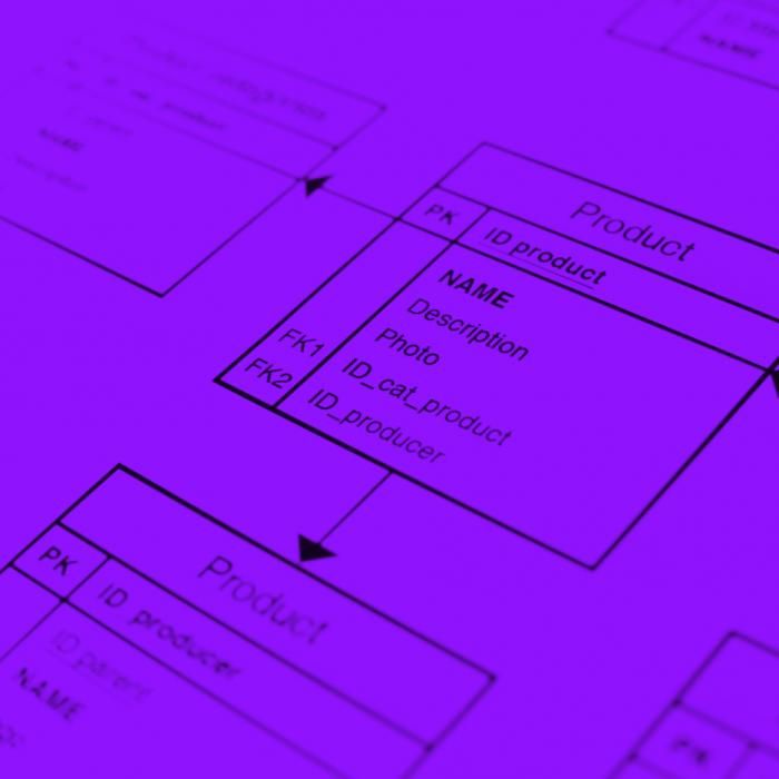 Our Software Blueprint gives you a complete implementation roadmap for your project or program.